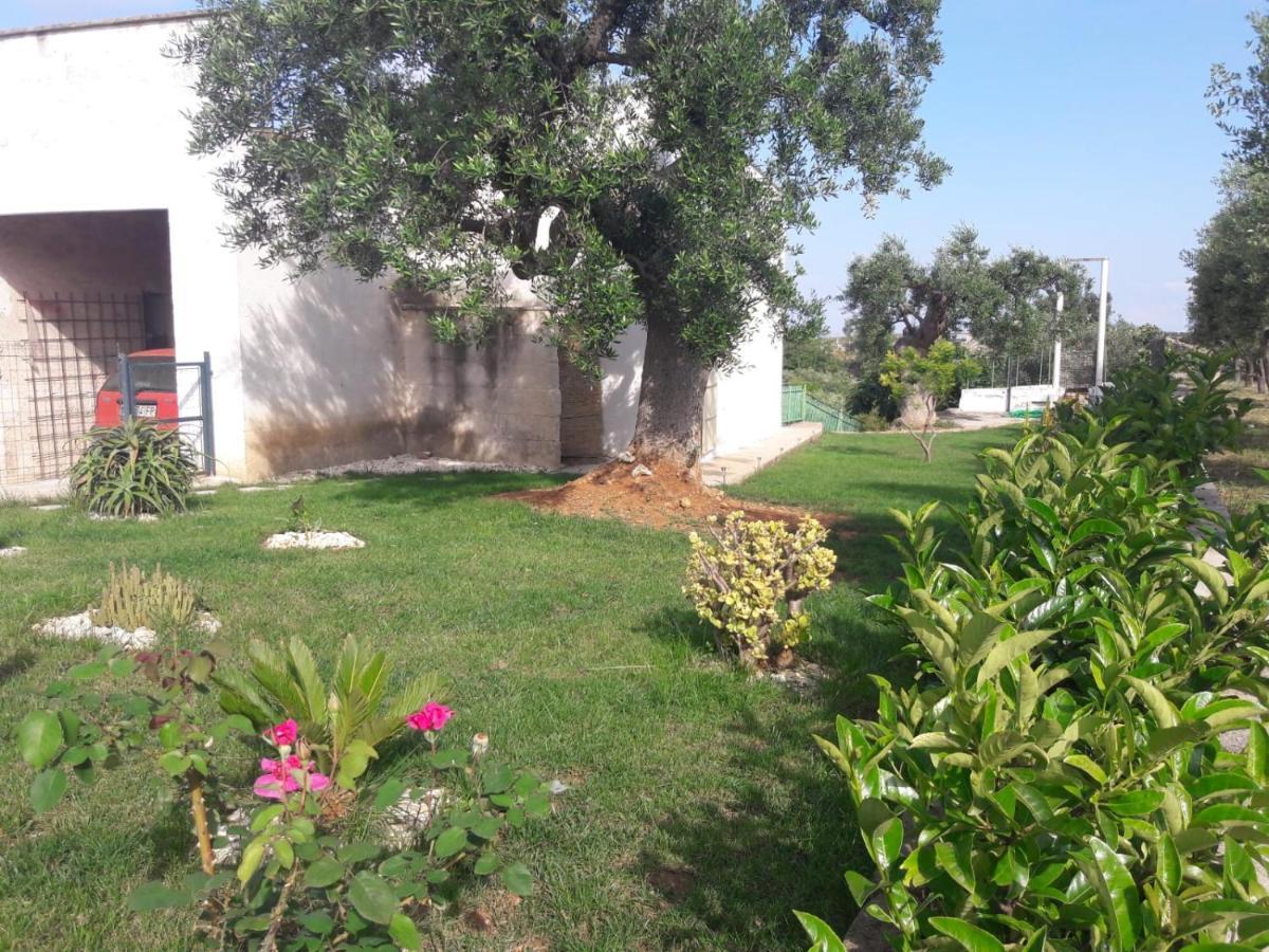 فيلا La Casa Di Nonno فاسانو المظهر الخارجي الصورة