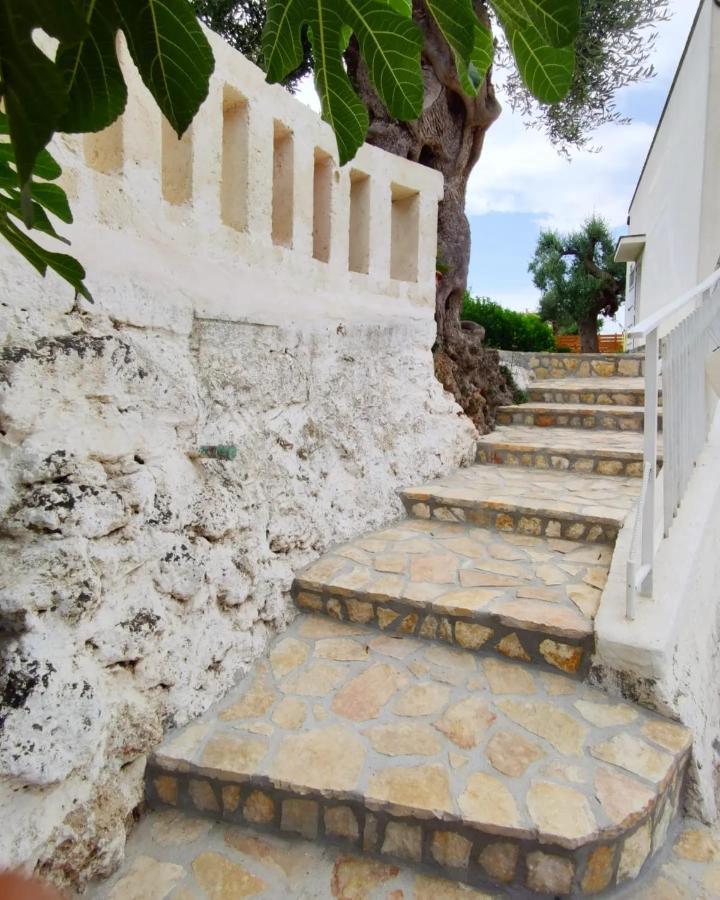 فيلا La Casa Di Nonno فاسانو المظهر الخارجي الصورة