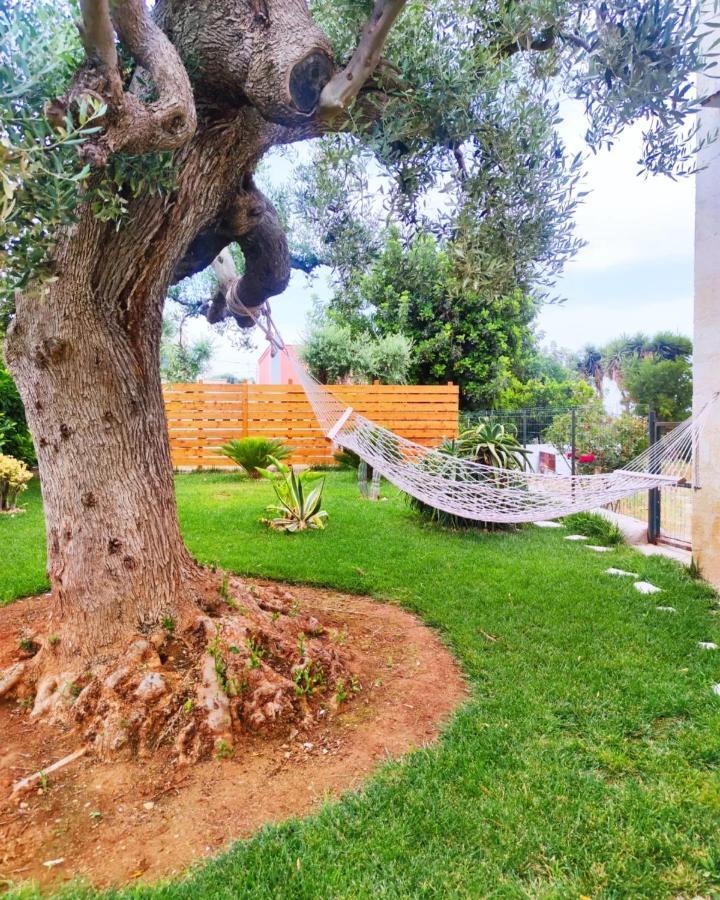 فيلا La Casa Di Nonno فاسانو المظهر الخارجي الصورة
